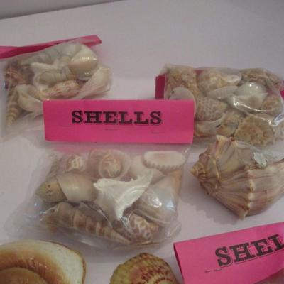 New Assortment Of Shells Including Yankee Candle Sun & Sand Potpourri