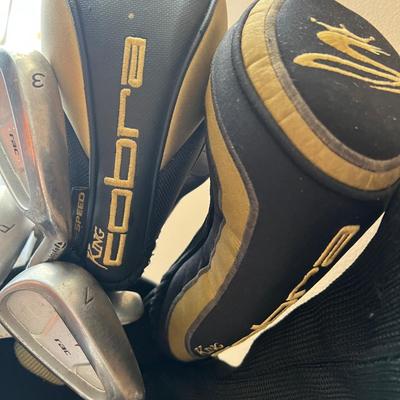 Caddy Daddy Golf Bag & Assorted Clubs