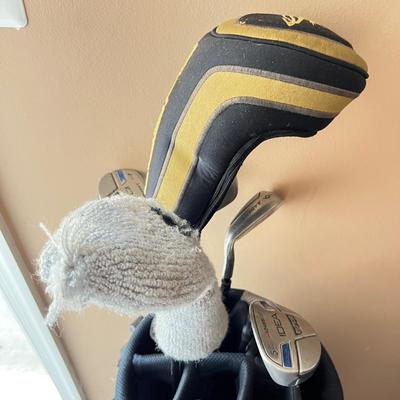 Taylor Made Golf Bag & Assorted Clubs