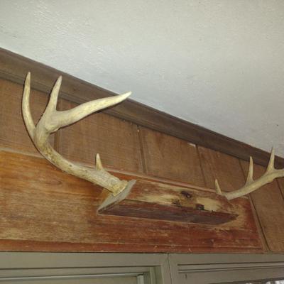 Pair of Mounted Deer Antlers- Approx 24" Wide
