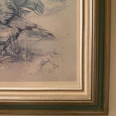 Framed Pelican Art Work