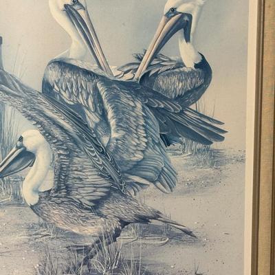 Framed Pelican Art Work