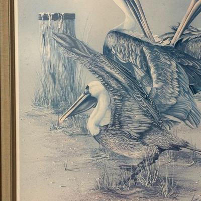Framed Pelican Art Work