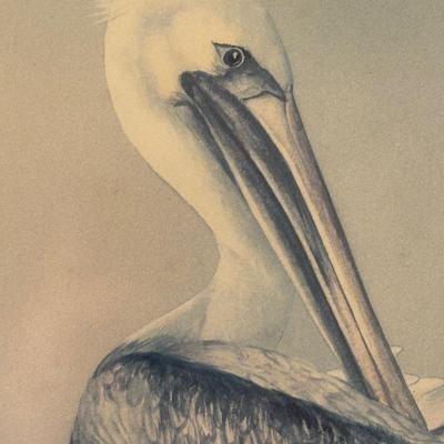 Framed Pelican Art Work