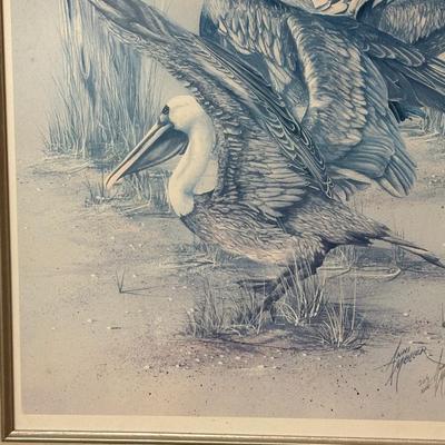 Framed Pelican Art Work