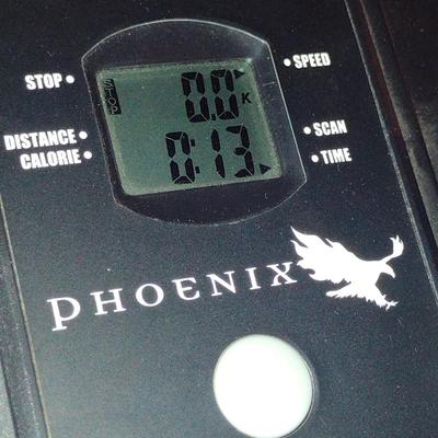 Phoenix Manual Treadmill- Model TR10