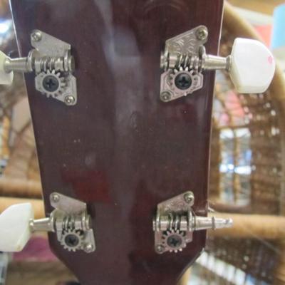 Rover Remo Weather King Banjo