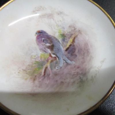 3 1/2" Royal Worcester China Bird Plates