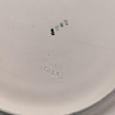 Certified International National Wildlife Federation Plate Made In Italy