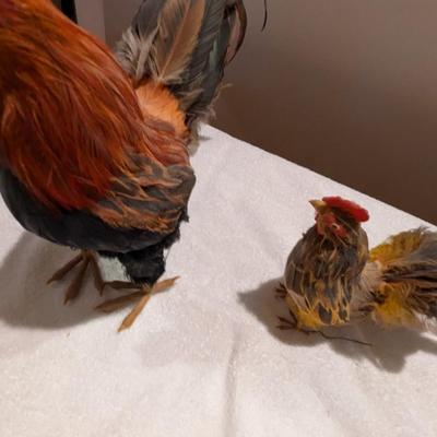 Vintage Rooster Figurines With Feathers