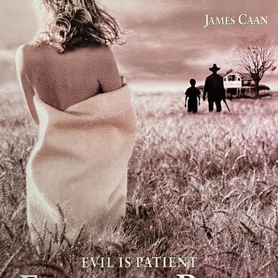Flesh and Bone 1993 original double-sided movie poster
