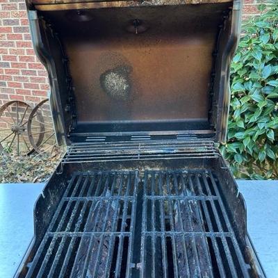 Weber Spirit Grill