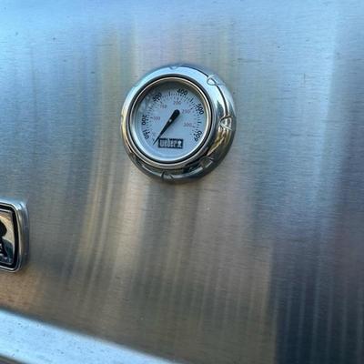 Weber Spirit Grill