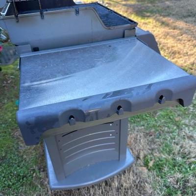 Weber Spirit Grill