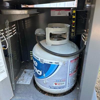 Weber Spirit Grill