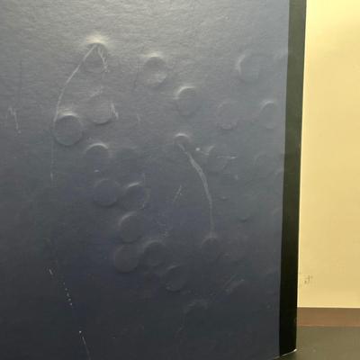 LOT 97B: 1999-2008 First State Quarters Of The United States Collectors Map (complete)