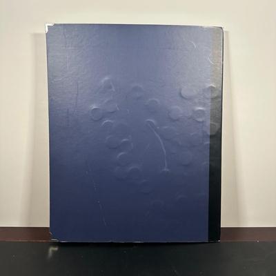 LOT 97B: 1999-2008 First State Quarters Of The United States Collectors Map (complete)