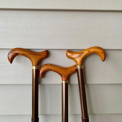 LOT 162 G: Wooden Coat Rack, Oak Umbrella Stand, & Collection of Walking Sticks & Canes (Wood & Aluminum)