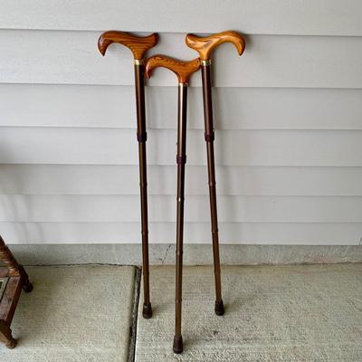 LOT 162 G: Wooden Coat Rack, Oak Umbrella Stand, & Collection of Walking Sticks & Canes (Wood & Aluminum)