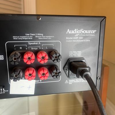 Two Audio Source Model AMP 300 Stereo Power Amplifier (O-MG)