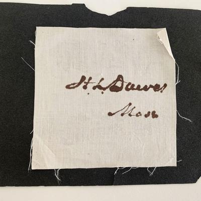 HL Davever signature cut