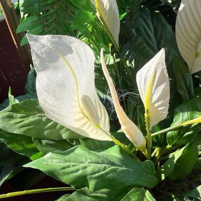 Lot of 4 Vibrant House Plants (Faux)