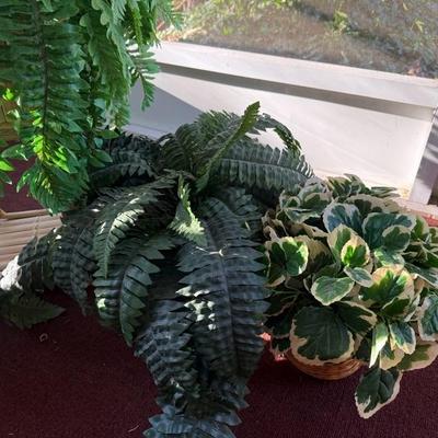 Lot of 4 Vibrant House Plants (Faux)