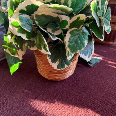 Lot of 4 Vibrant House Plants (Faux)