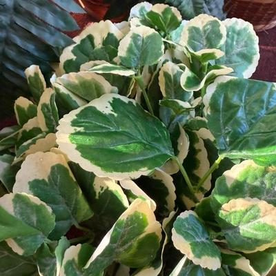 Lot of 4 Vibrant House Plants (Faux)