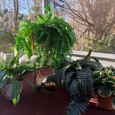 Lot of 4 Vibrant House Plants (Faux)