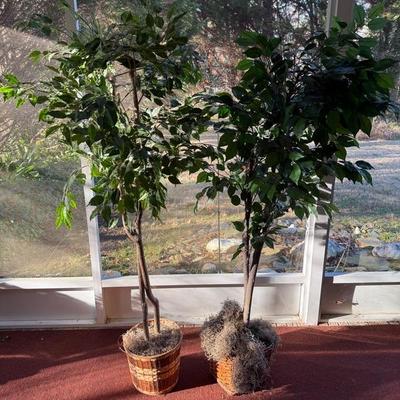 Lot of 2 Tall House Plants (Faux)