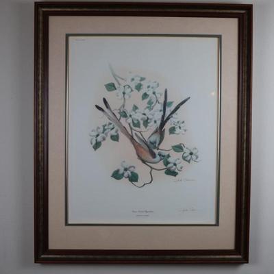 Signed by Richard Sloan, "Scissor Tailed Flycatcher"