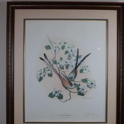 Signed by Richard Sloan, "Scissor Tailed Flycatcher"