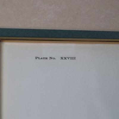 Signed by Richard Sloan, "Scissor Tailed Flycatcher"