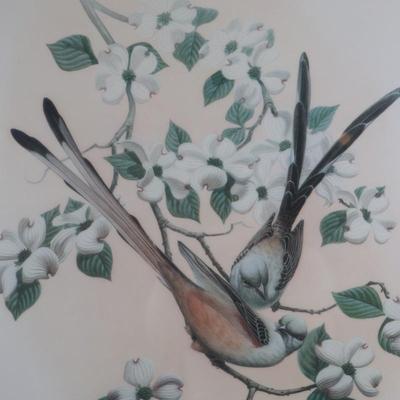 Signed by Richard Sloan, "Scissor Tailed Flycatcher"
