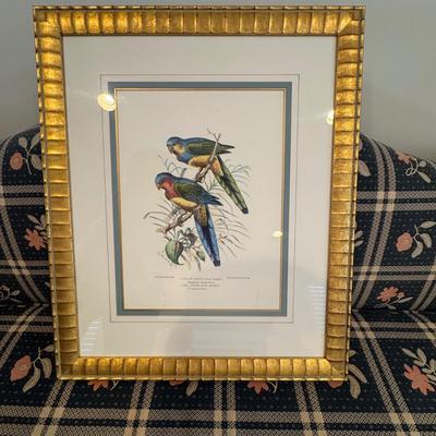 Sale Photo Thumbnail #66: Yellow Vented Blue Bonnet Print. Wooden gold gilt bamboo style wooden frame. 
27”H x 22.5”W double matted