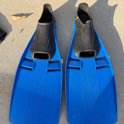 Wet Suits, Flippers and more