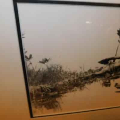 Neal Parent Original Photograph Print “How Dry I Am” 2/200