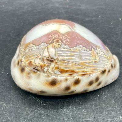 Tiger Cowrie Seashell Shell Carved Etched Vesuvius Volcano Italy