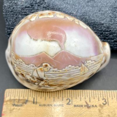 Tiger Cowrie Seashell Shell Carved Etched Vesuvius Volcano Italy