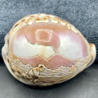 Tiger Cowrie Seashell Shell Carved Etched Vesuvius Volcano Italy