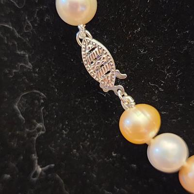 Multi colored pearl strand 16 inches with white stud earrings.
