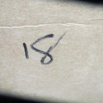 15 - Love Land Flea & Conditioning Shampoo #18