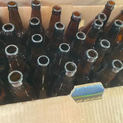 Mr. Beer and Brown bottles