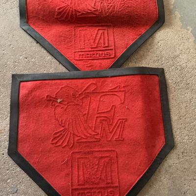 Twins and Redhawks hats and bats and 2002 Homer Hanky