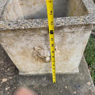 357 Cement Lion Head Square Planters
