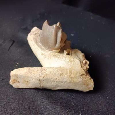 ROCKHOUND ARTIFACT FINDS
