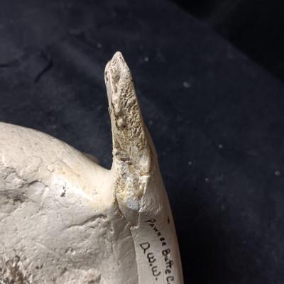 ROCKHOUND ARTIFACT FINDS