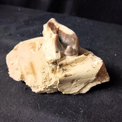 ROCKHOUND ARTIFACT FINDS