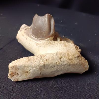 ROCKHOUND ARTIFACT FINDS